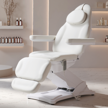 dongpin 8194 beauty facial chair.png